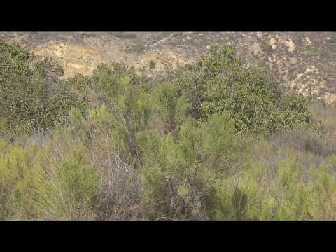 Mission Trails Regional Park enhances fire safety with $1.4 million grant