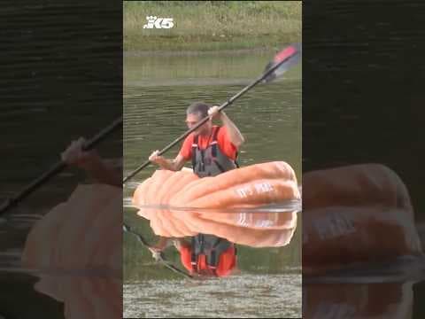 Man paddles more than 40 miles in giant pumpkin
