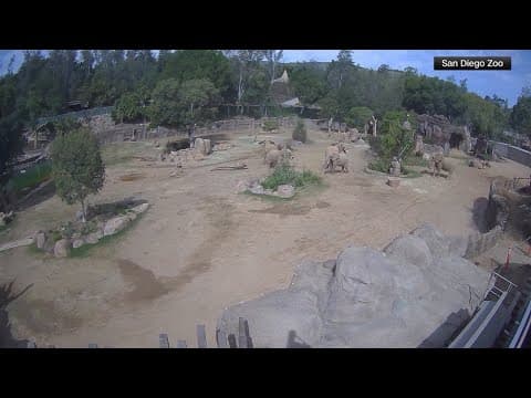 Earthquake rattles southern California: Latest updates