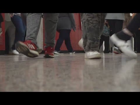 TN bill could require schools to verify students' citizenship status