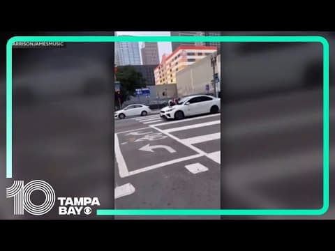 Woman jumps on car in attempt to stop thieves from getting away with her dog