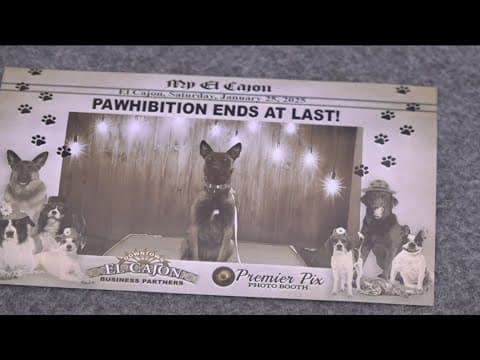 City of El Cajon appeals downtown dog ban