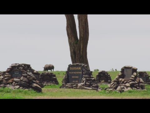 "Why On Earth" documents the plight of animals around the world