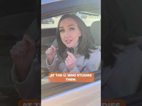 What do you call it when a traffic jam appears... out of nowhere? #kare11