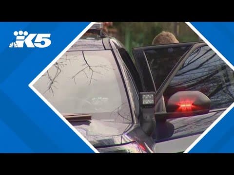 17-year-old shot at West Seattle Park