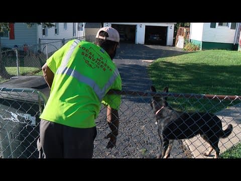 Columbus garbage man builds friendship with German Shepherd