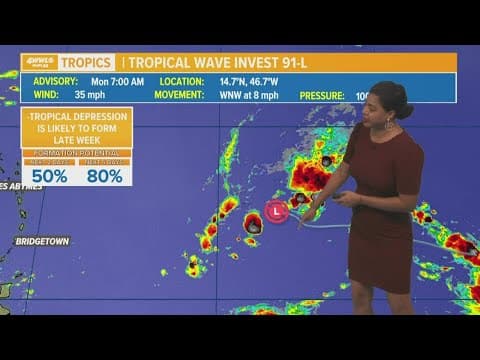 Noon Tropical Update: Invest 91-L likely to form later this week