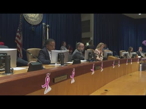 City Councilmembers call out gaps in 911 system calls for domestic violence