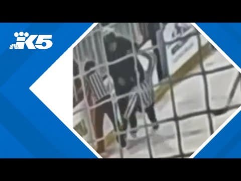 Youth hockey parent attacks teenaged referees