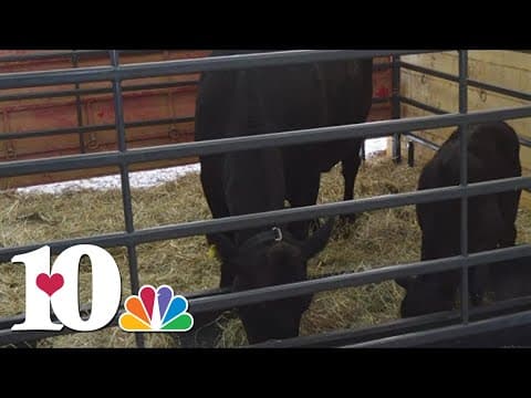 Learn about AG Alley at the Tennessee Valley Fair