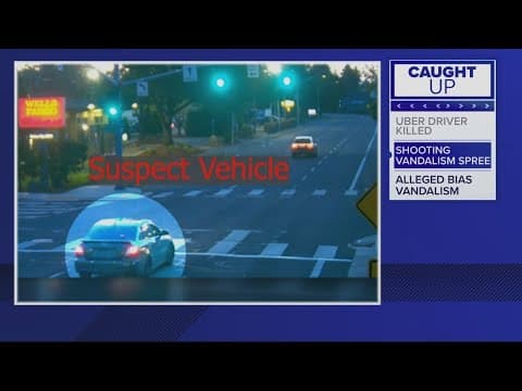Person shoots at red-light camera in Southeast Portland