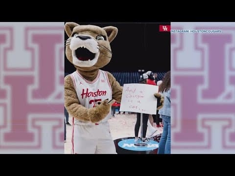 Houston Cougars mascot calls out Jimmy Fallon over March Madness snub