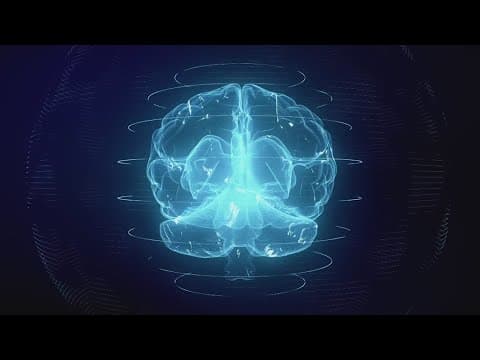 New study shows importance of estrogen to women's long-term brain health