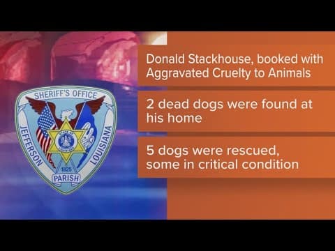 Man charged after 2 dead, 5 starving dogs found in Avondale yard, sheriff says