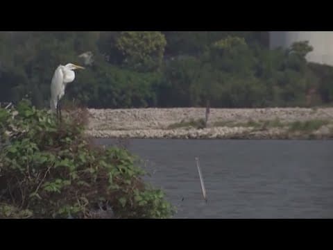 Study finds increased rates of cancer in communities near San Jacinto River waste pit sites