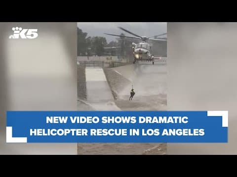 New video shows dramatic rescue in Los Angeles