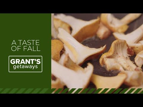 Get a taste of fall with Oregon's chanterelles