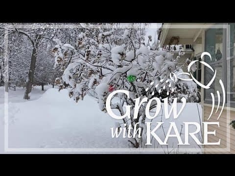 Grow with KARE | Bending branches after heavy snow