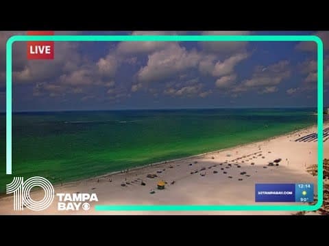Clearwater Beach water temp hits 90 degrees for the first time this year