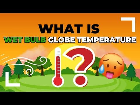 What is the wet bulb globe temperature?
