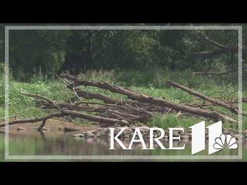 Wisconsin DNR investigating after dead turtles found along St. Croix River