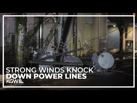 High winds bring down trees, knock out power to thousands of Oregonians