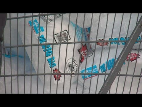 Residents donate bags of ice to Franklin County Dog Shelter