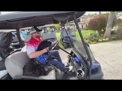 'Freedom Dogs' helping combat veterans with PTSD find a four-legged companion