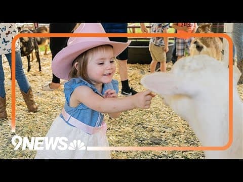 Greeley gears up for annual Stampede with major economic impact