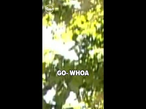 Mentos experiment flashback to 20 years ago