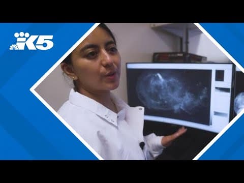 How UW scientists are using AI to fight the opioid epidemic