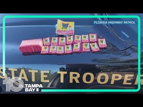 FHP: Man arrested for throwing fireworks at state trooper's patrol car in Citrus County