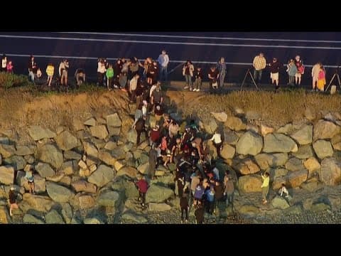 Community comes together to rescue baby whale trapped onshore