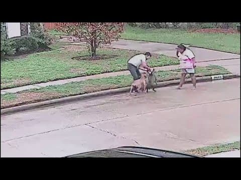 'He wouldn't let go' | Dog injures deputy, 2 others in Katy area attack, sheriff says