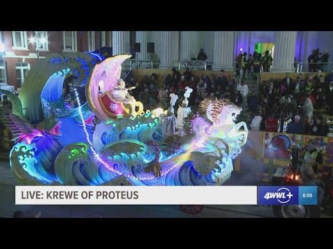 Proteus leads the way in gold and pink shell