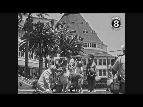 Lassie the world famous dog visits San Diego in 1956