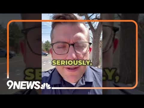 More Denver wild turkeys