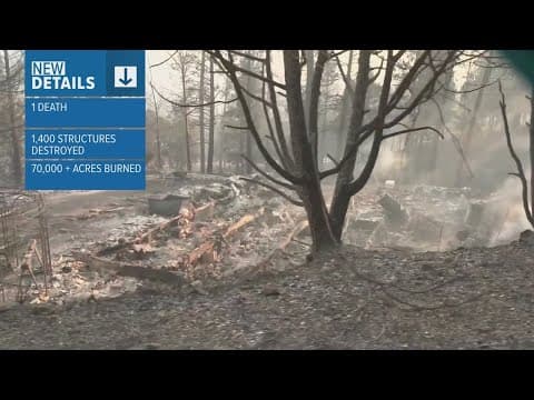 Fast-moving wildfires cause devastation across New Mexico