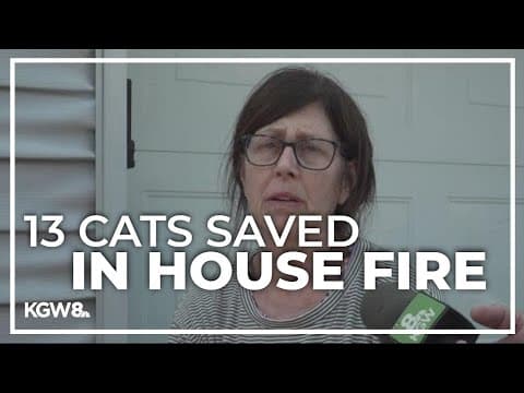 13 cats saved after Fourth of July fireworks cause house fire in Clark County
