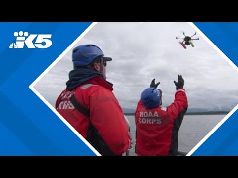 Microsoft’s $5 million program aims to use AI for global good, focuses on Washington innovators