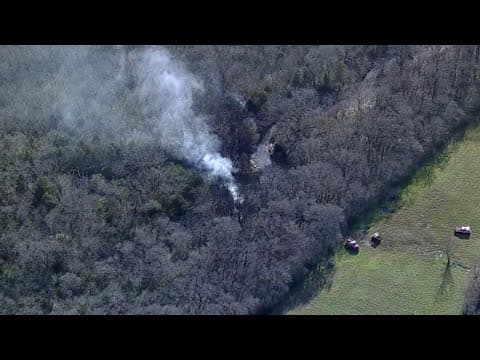 Pilot dies after small plane crashes in Texas