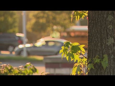 Prince George's County experiencing bus driver shortages ahead of first day of school