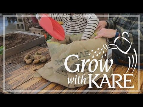 Grow With KARE: How to grow potatoes in burlap sacks