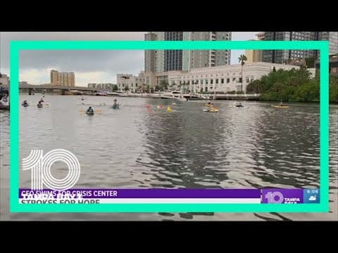 Crisis Center of Tampa Bay CEO swims around Davis Islands for fundraiser