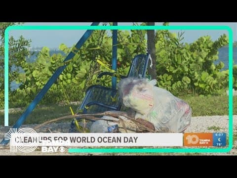Cleanups planned for World Oceans Day across Tampa Bay