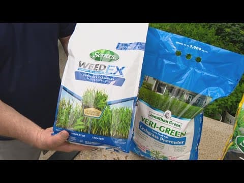 Pat Sullivan answers WTHR viewer's questions on planting, gardening