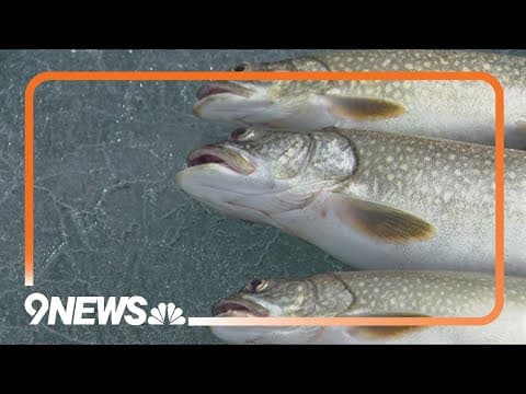 CPW hosting 4 month long fishing tournament