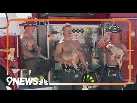 Firefighters pose with puppies to raise money for rescue