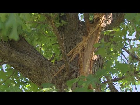2 hospitalized after lightning hit canopy at Lake Benbrook