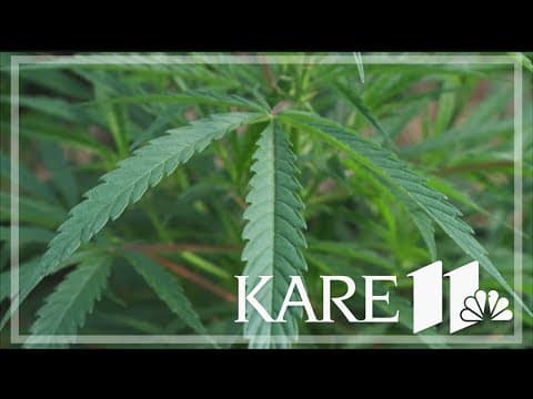 Minnesota House approves adult-use cannabis bill